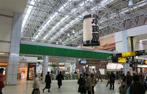 小田原駅 居酒屋 ～駅前の喧騒と静寂の交差点～